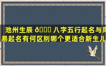 池州生辰 🐕 八字五行起名与周易起名有何区别哪个更适合新生儿